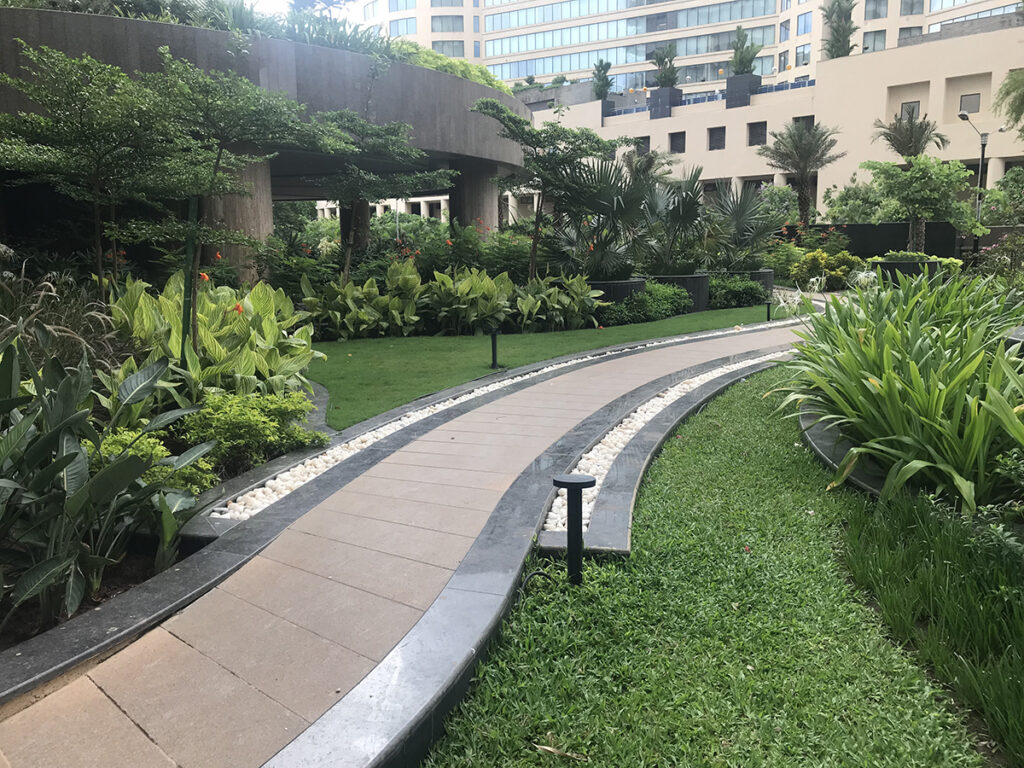 SIGNIA PEARL MUMBAI Deeproots Design